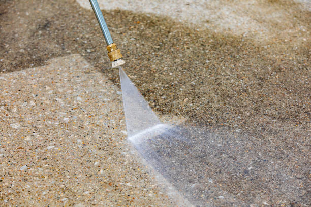 Best Driveway Cleaning and Restoration in Frazee, MN