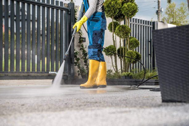  Frazee, MN Pressure Washing Pros